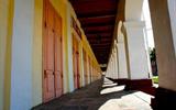 image (9)